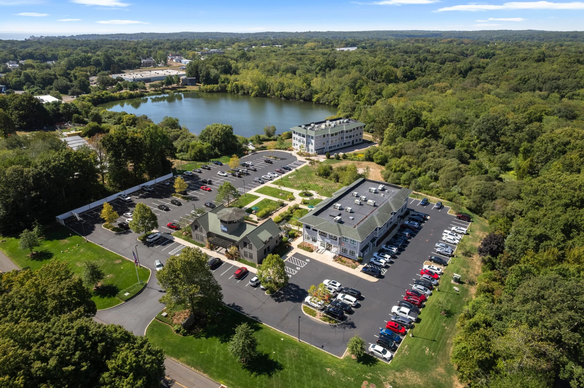 350 Goose Aerial.webp